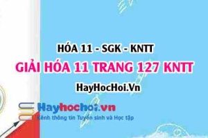 Giải Hóa 11 trang 127 Kết nối tri thức SGK